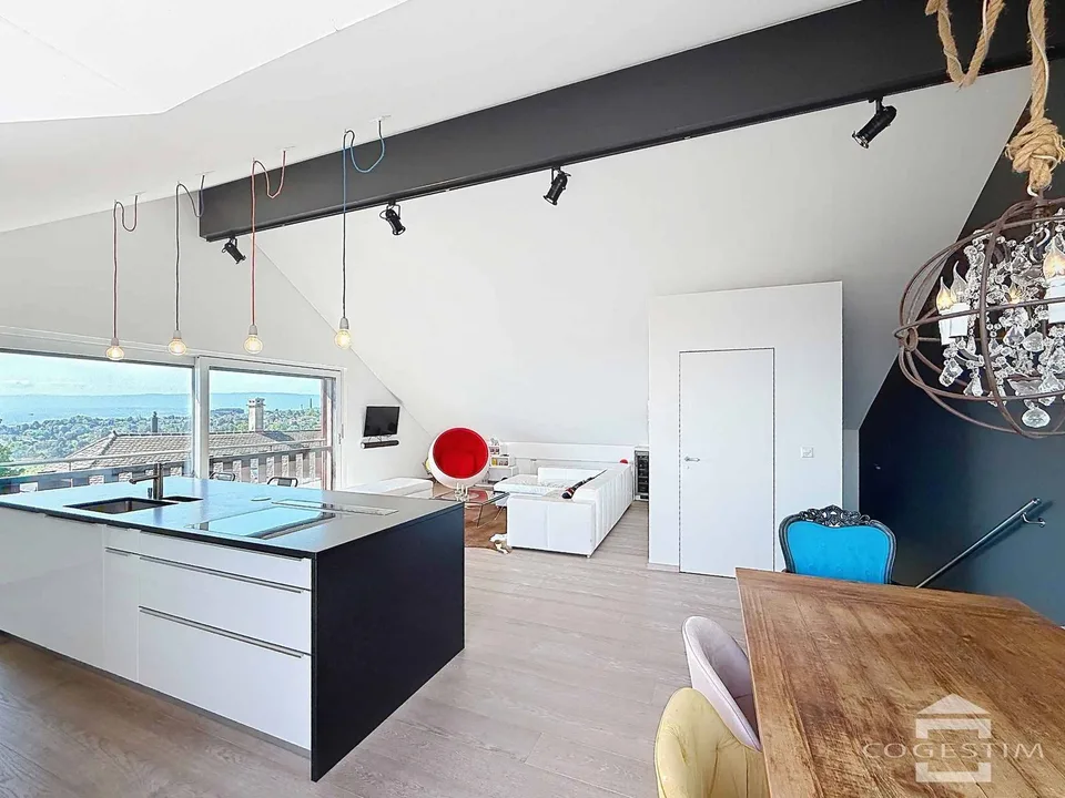 Spacieux duplex de 5.5 pièces avec terrasse et vue sur le Lac Léman
