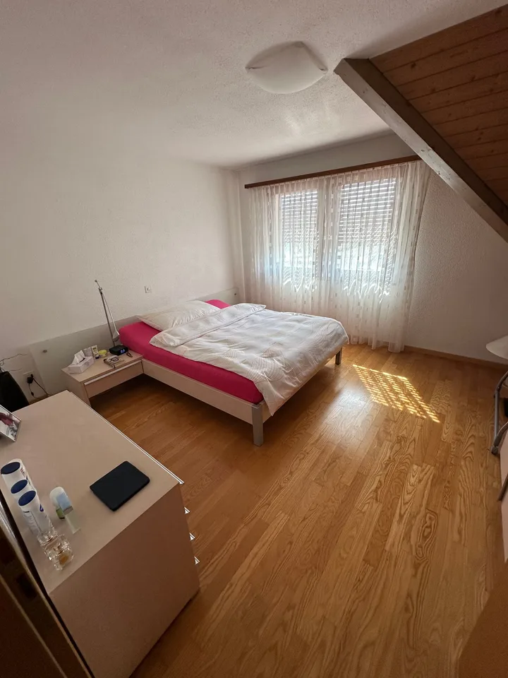 Ampio appartamento di 6,5 locali con grande galleria (80m2 = 2 locali) e vista panoramica a Zurzach – foto 9 di 17