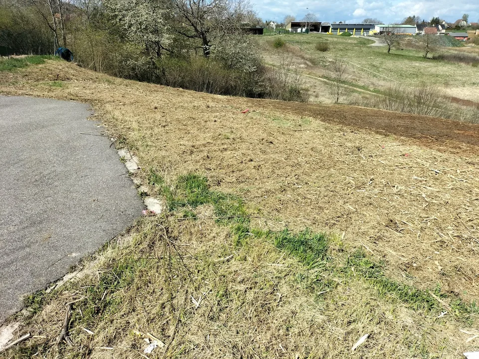 Terreno Edificabile a Ferrette