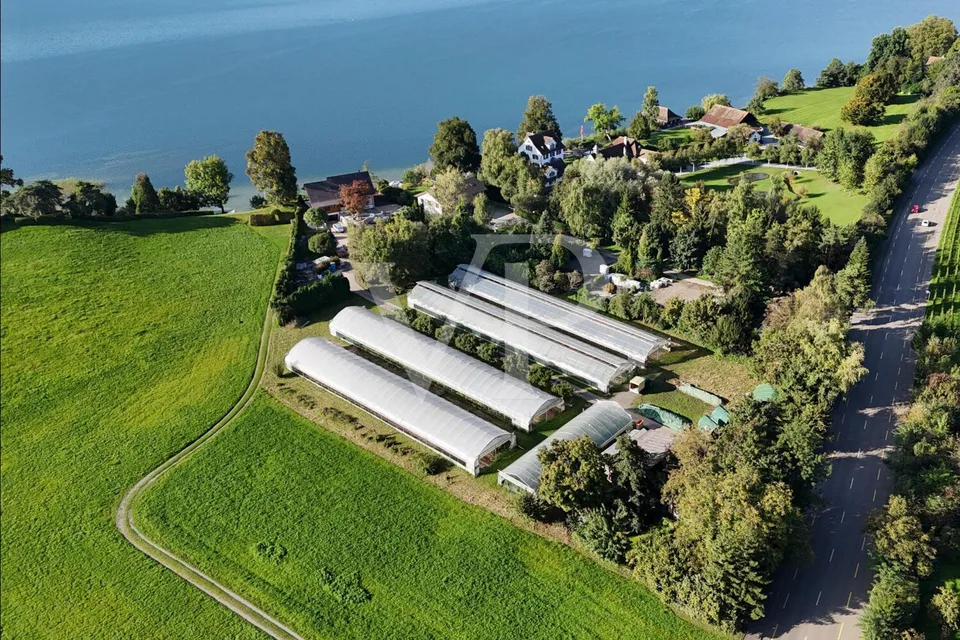 Rara riserva di terreno sul lago di Zurigo: ampia combinazione di lotti con varie zone – foto 6 di 12