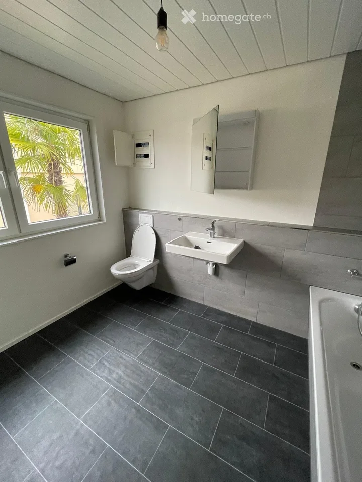 Lager / Büro Container / Wohn Container / Tiny House