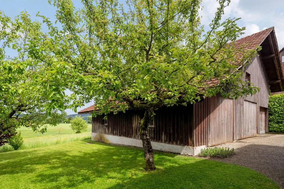 Terrain à bâtir avec potentiel à Wildberg - 1'162 m² à vendre