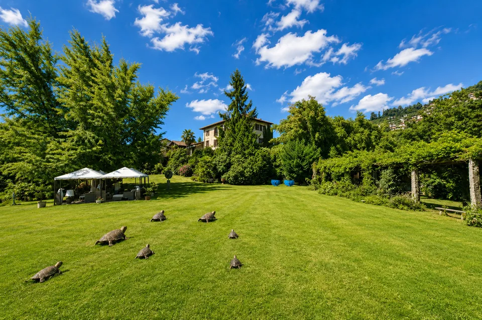 Eleganza Senza Tempo: Tenuta Storica Sospesa tra Lago, Vigneti e Cielo