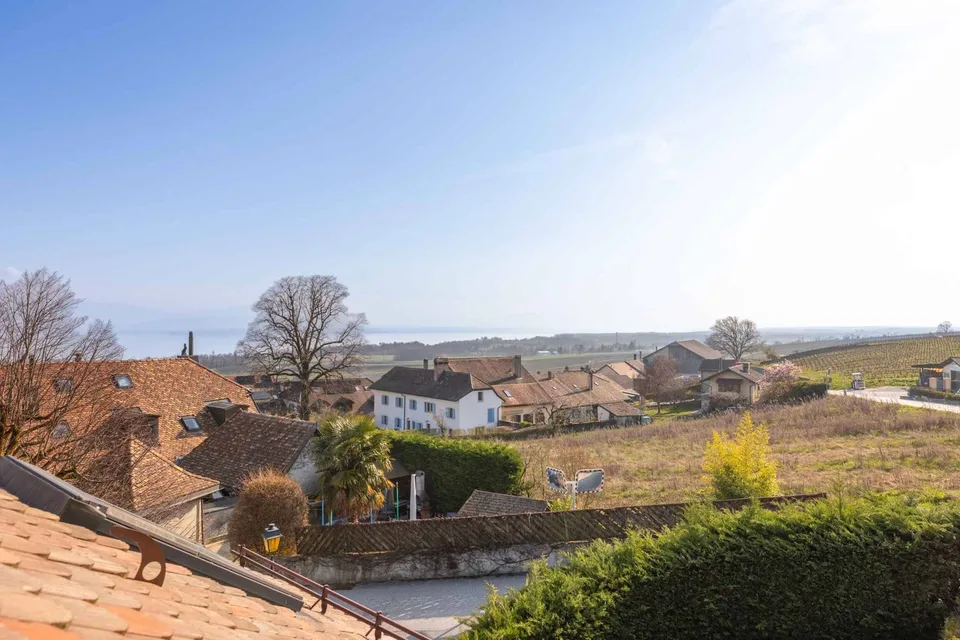 Charmantes renoviertes Haus im Herzen der Weinberge