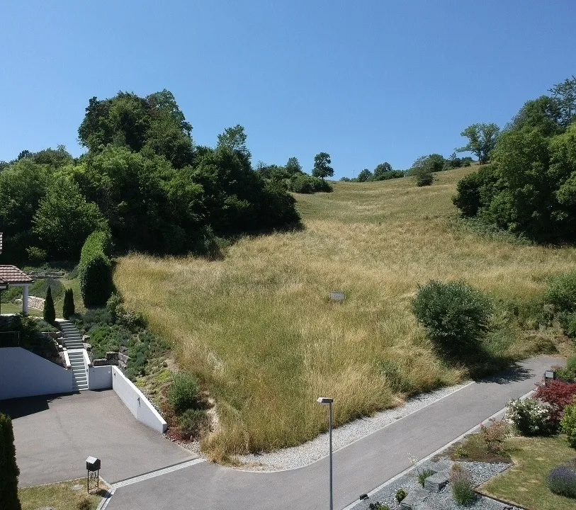 Atemberaubendes Baugrundstück mit Panoramablick in Herdern (TG)