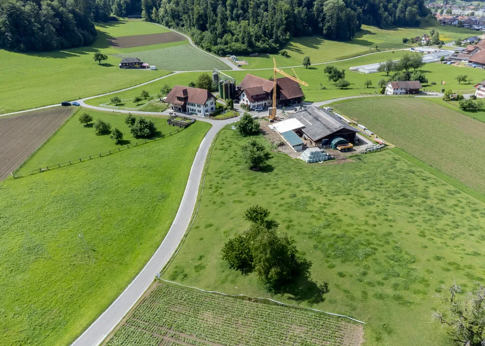 Oasi per gli esseri umani e due cavalli