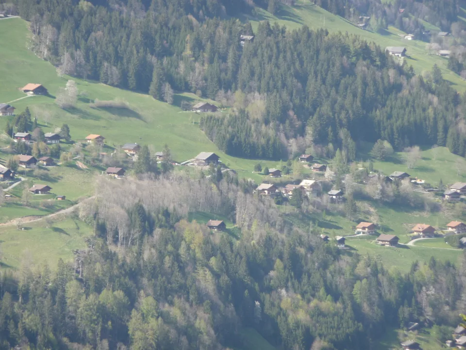 Belle parcelle de 903 m2 à construire au-dessus du village de Champéry