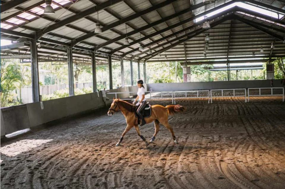 Ricerca terreno per scuderia - zona Piano di Magadino