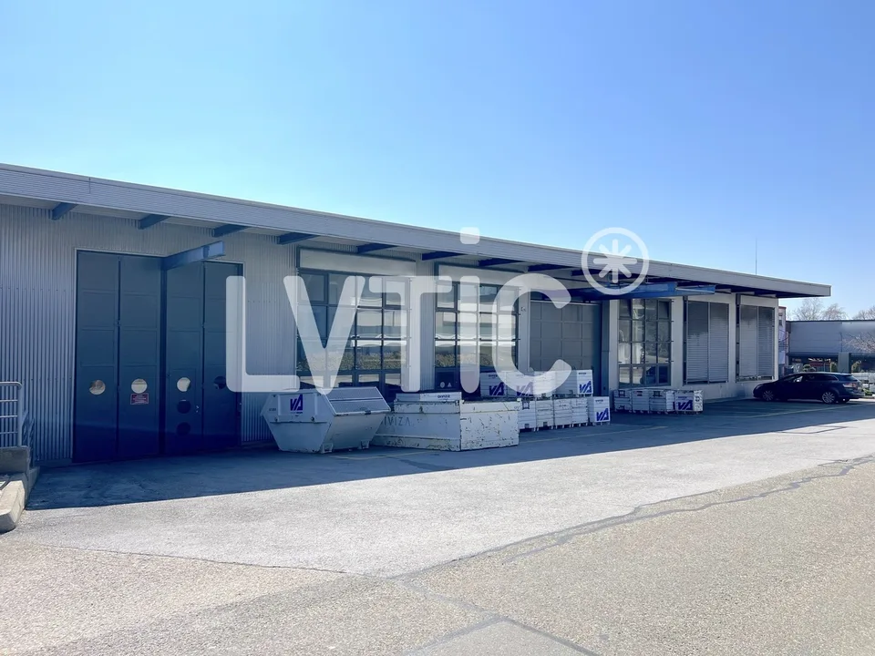 Capannone industriale 2800 m2 con uffici - Autostrada 2 minuti - Bevaix (NE) – foto 10 di 12