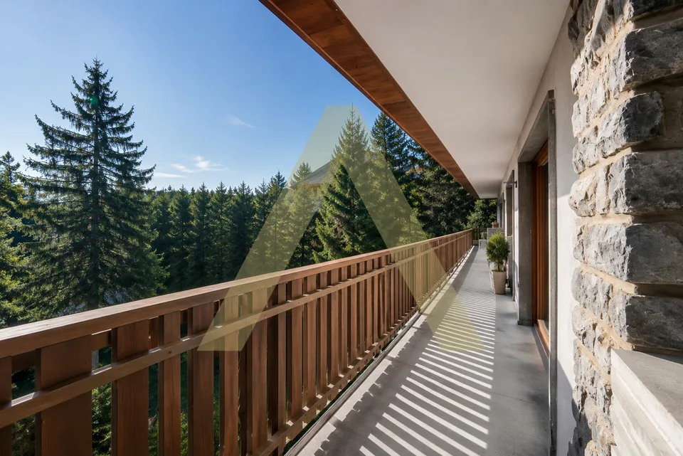 Magnifique appartement entièrement rénové