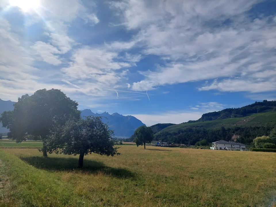 Votre villa jumelle au coeur du Chablais - Dernier lot disponible – photo 6 sur 10