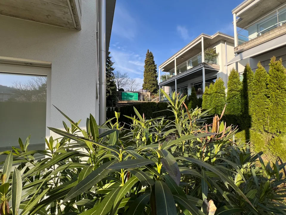 3,5 locaux avec jardin à Ponte Capriasca – photo 12 sur 16
