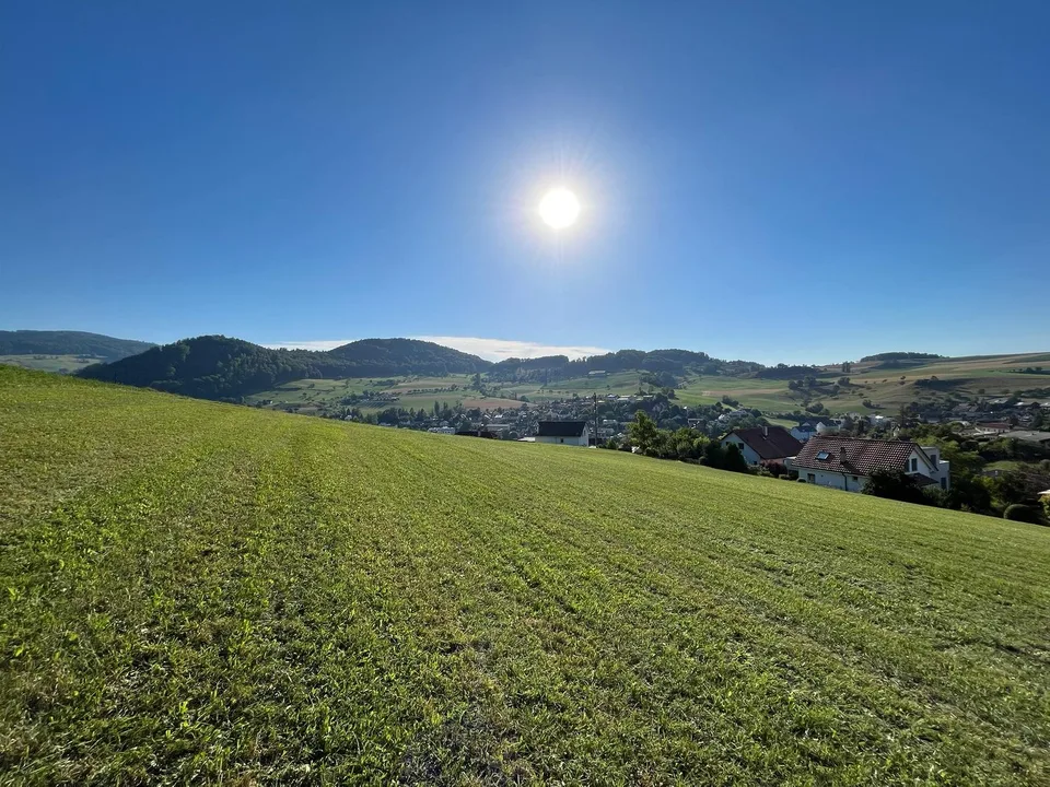 5.5-Zimmer-Doppeleinfamilienhaus Haus C1 & C2 Niederdorf – Foto 13 von 15