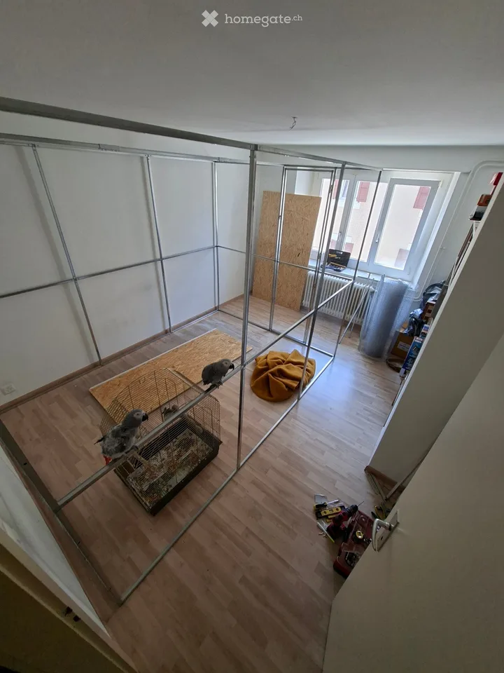 Chambre en collocation