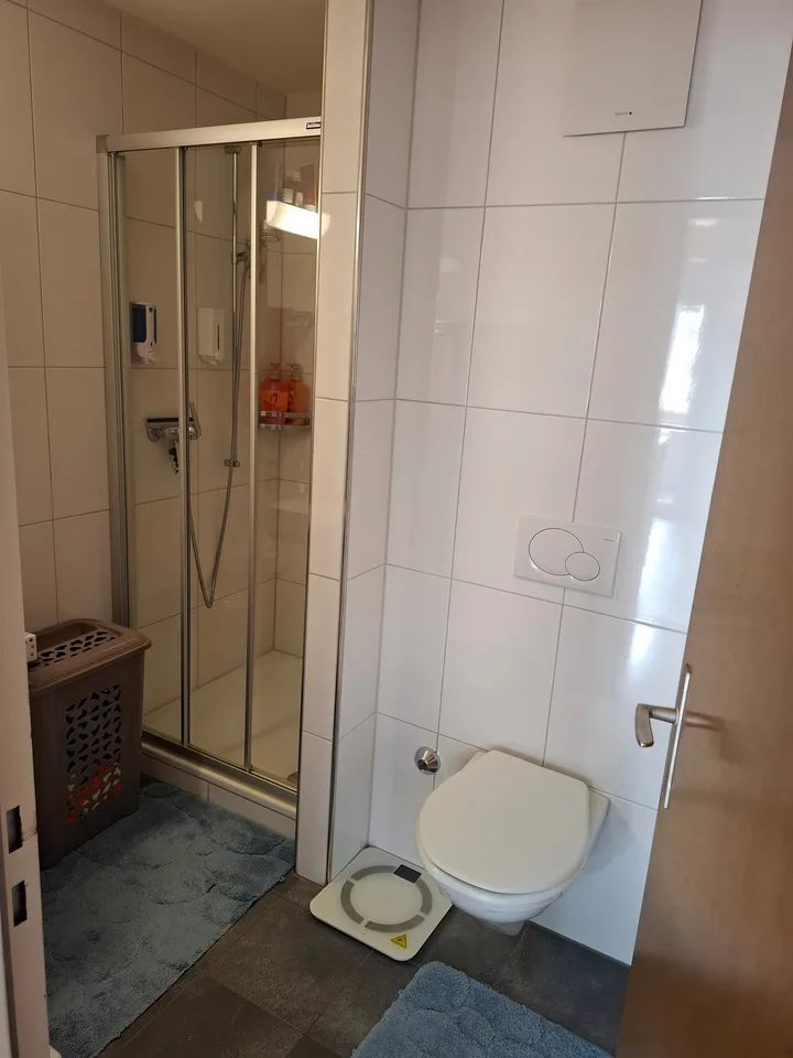 5.5-Zimmer-Wohnung mit Bergblick in Wassen
