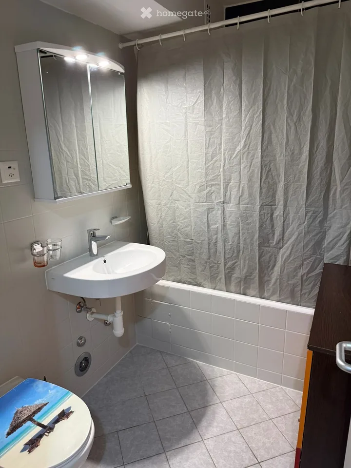 Appartement entièrement meublé (2,5 pièces) Entièrement équipé
