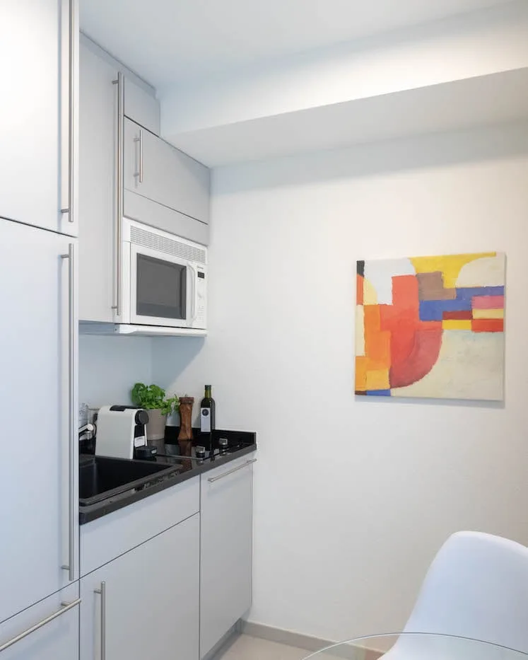 Cozy Furnished 1.5-Room Apartment with Balcony in Zürich Wiedikon