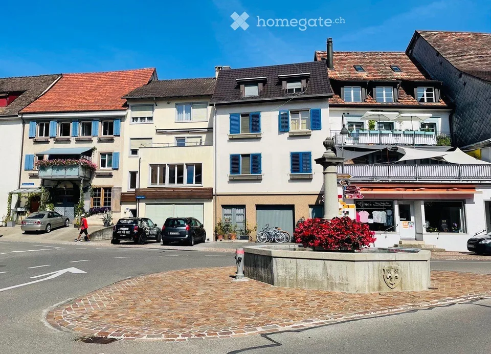 Klein aber fein mitten in Hallau mit Terrasse