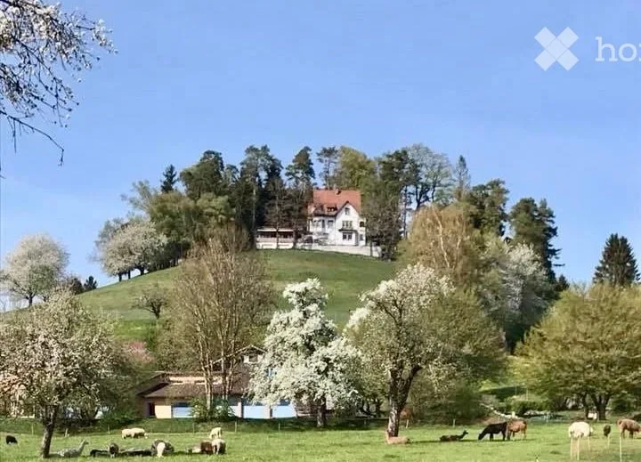 Nuova locazione di Gasthaus Säntisblick a Eschlikon TG