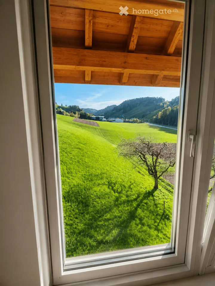 Primo occupante dopo ristrutturazione totale: Appartamento moderno 2,5 locali con area di giardino