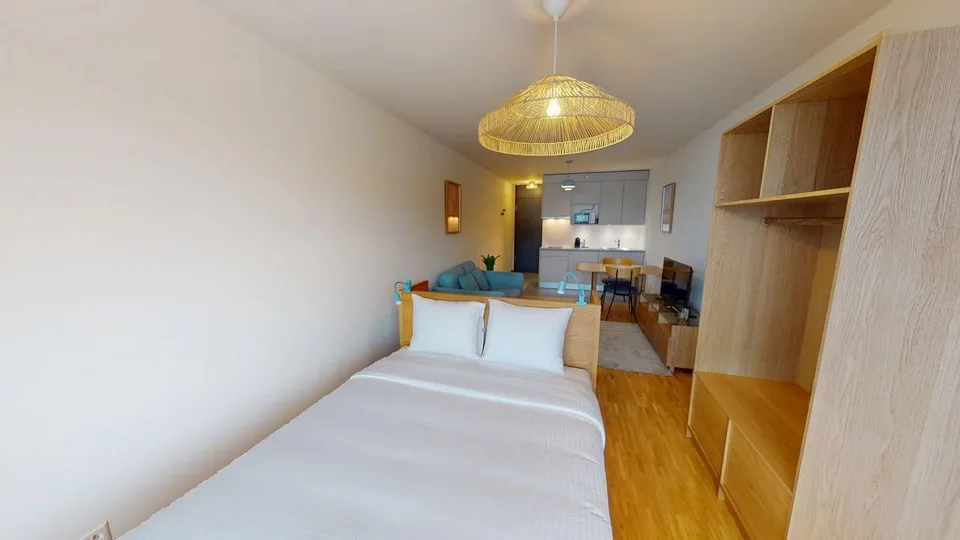 Renovated furnished studio in Geneva's Plainpalais district