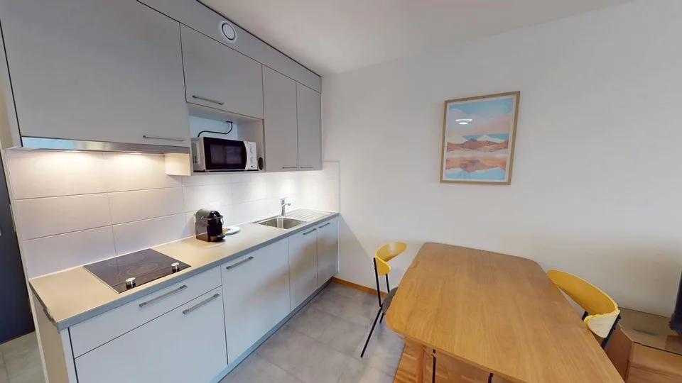 Renovated furnished studio in Geneva's Plainpalais district