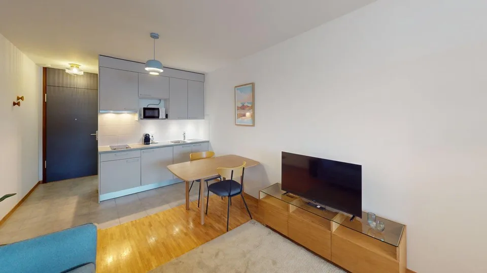 Renovated furnished studio in Geneva's Plainpalais district – Foto 10 von 11