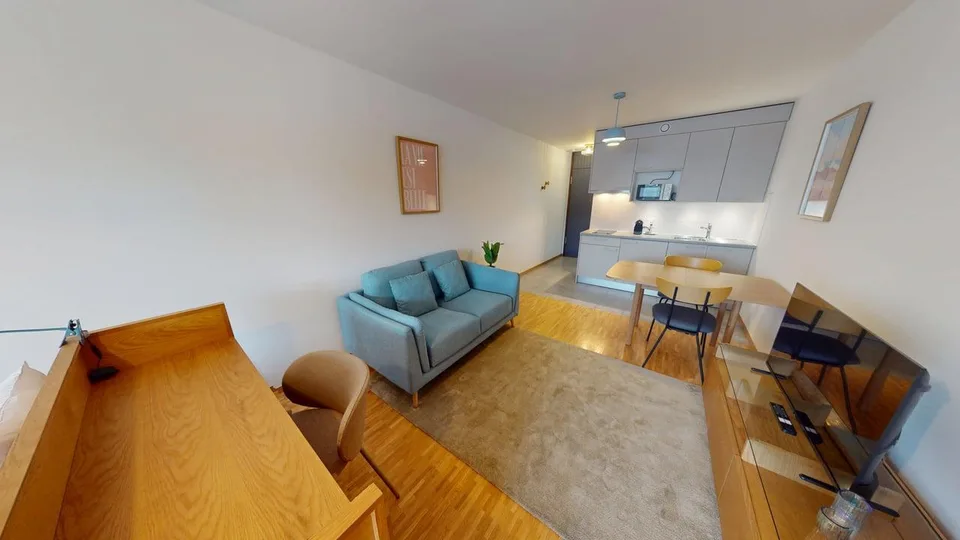 Renovated furnished studio in Geneva's Plainpalais district