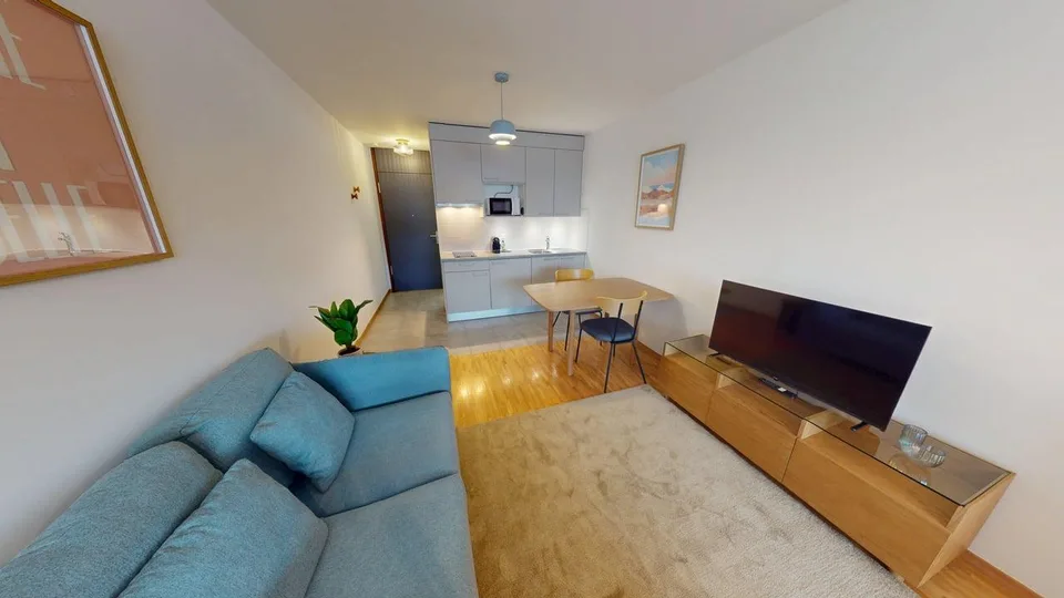 Renovated furnished studio in Geneva's Plainpalais district