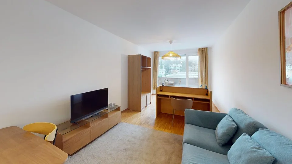 Renovated furnished studio in Geneva's Plainpalais district