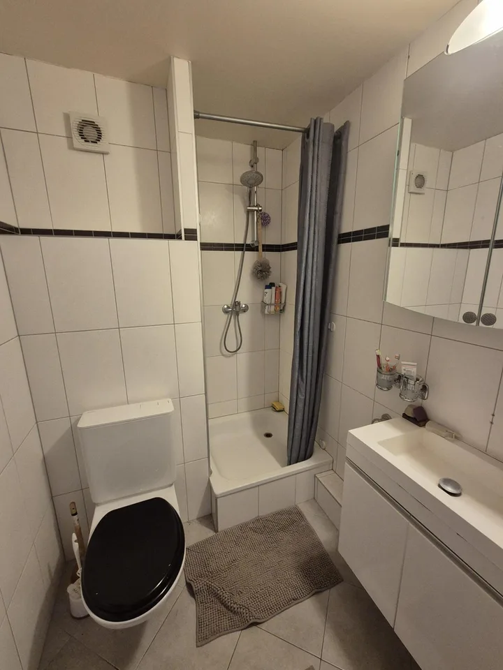 Zweieinhalb-Zimmer-Wohnung im dritten Stock mit Mezzanine