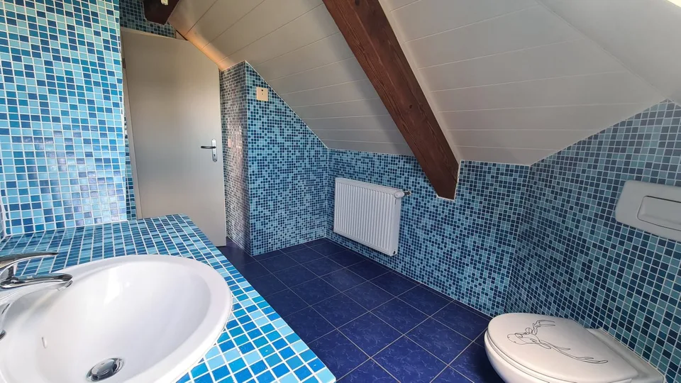 Charmantes Dachstudio zur Miete in Cornol