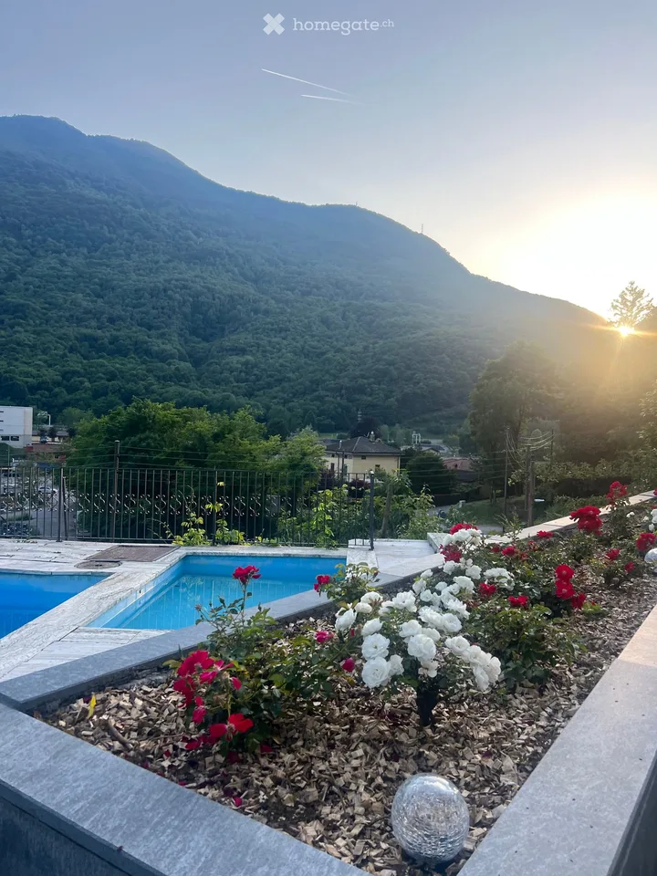 Appartamento 2.5  immerso nel verde con piscina