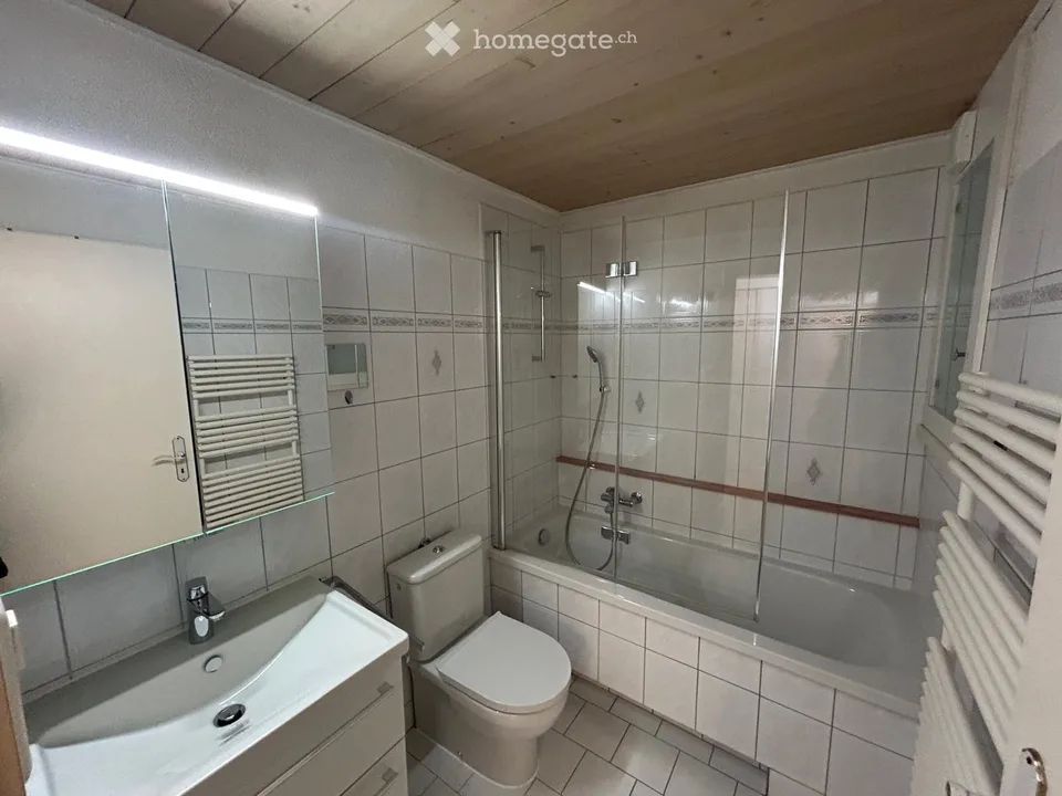 5 1/2 Zimmerwohnung über den Dächern von Steckborn