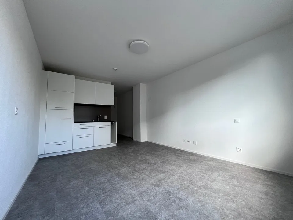 ERSTBEZUG - Gemütliches Studio / Büro / Chauffeurenzimmer oder als Praxis