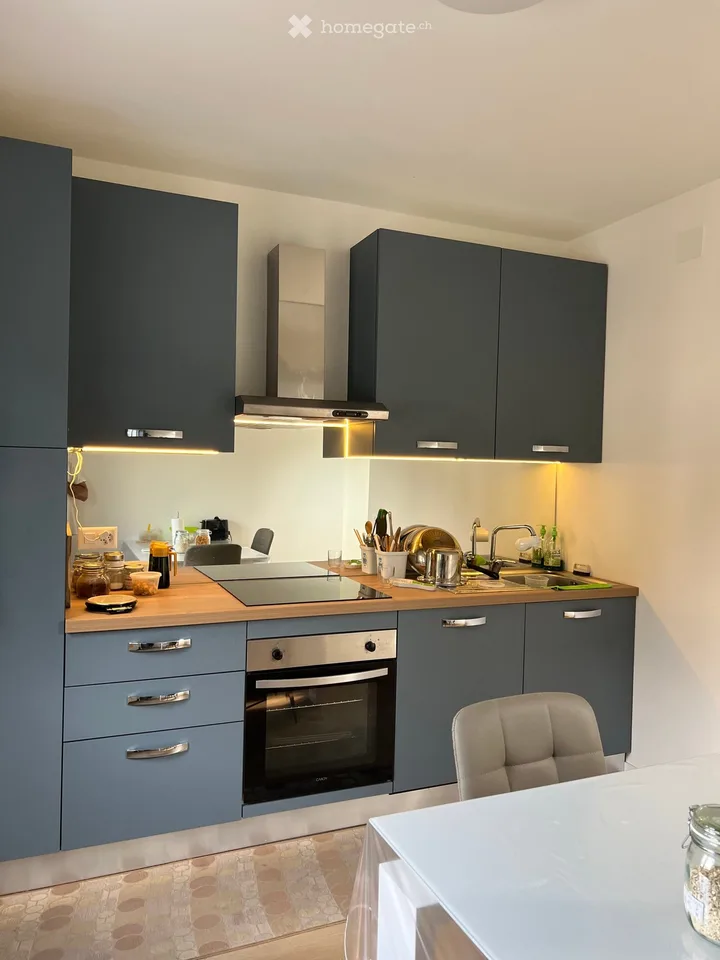 Je cherche un successeur pour un appartement déjà meublé 2.5 pièces à Lamone