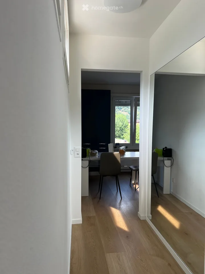 Je cherche un successeur pour un appartement déjà meublé 2.5 pièces à Lamone