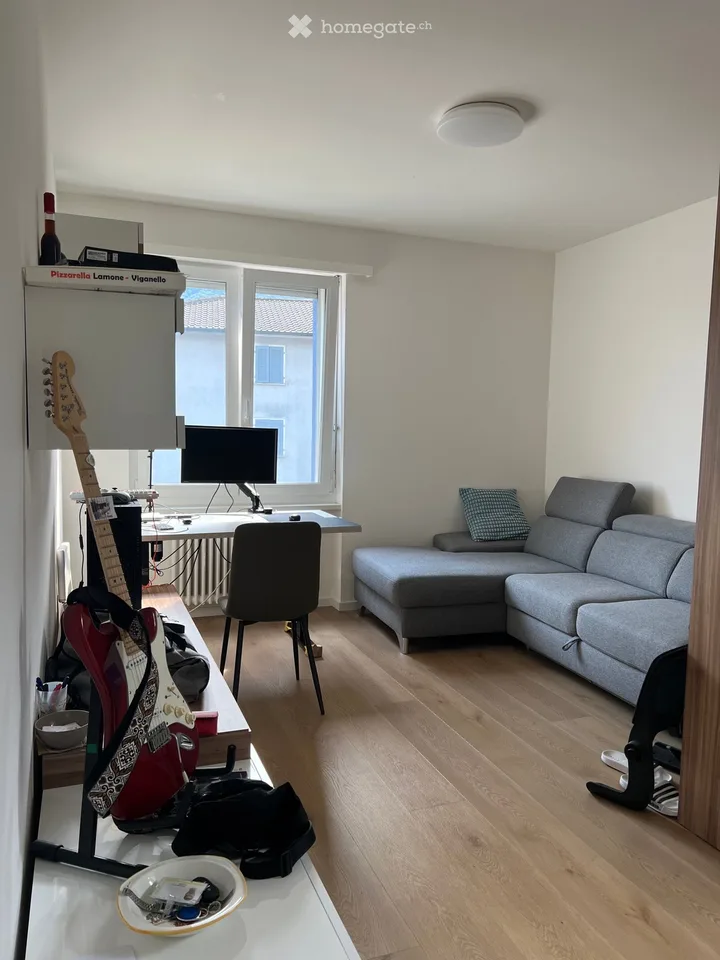 Je cherche un successeur pour un appartement déjà meublé 2.5 pièces à Lamone