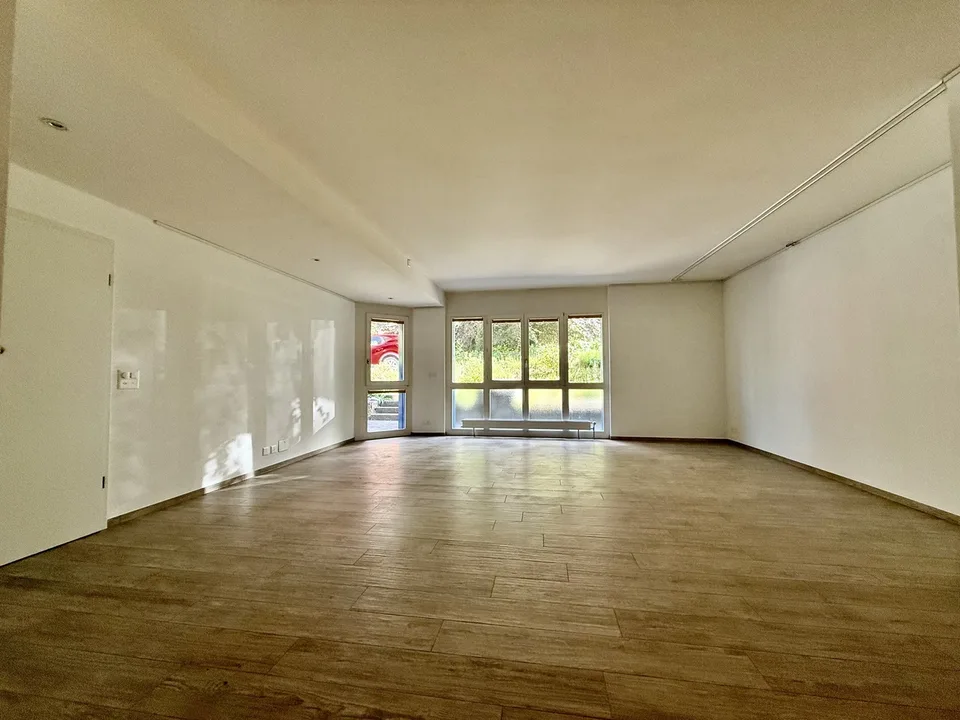 FRIBOURG - 3.5 locali al piano terra