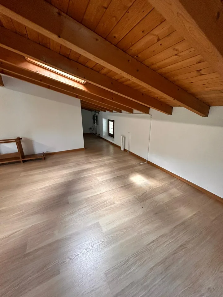 Verkaufsfläche in Monteggio
