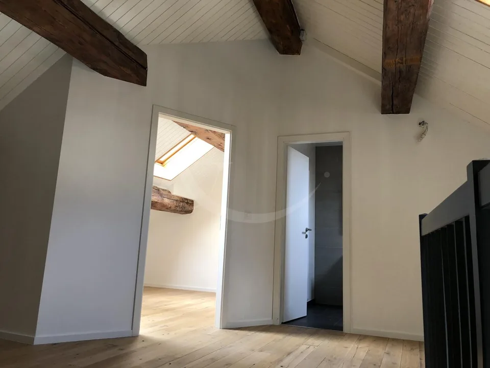 Rue des Etuves 14, Magnifico duplex di 4.5 locali
