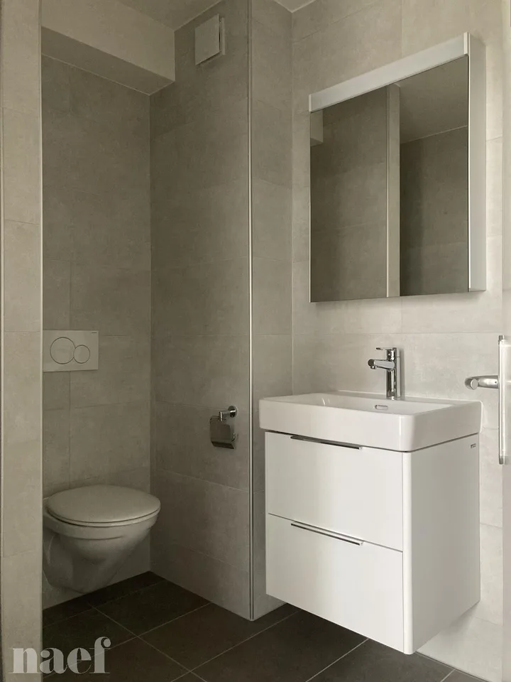Studio entièrement rénové situé dans le haut de la Ville.