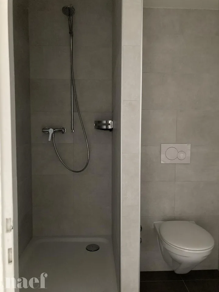 Studio entièrement rénové situé dans le haut de la Ville.