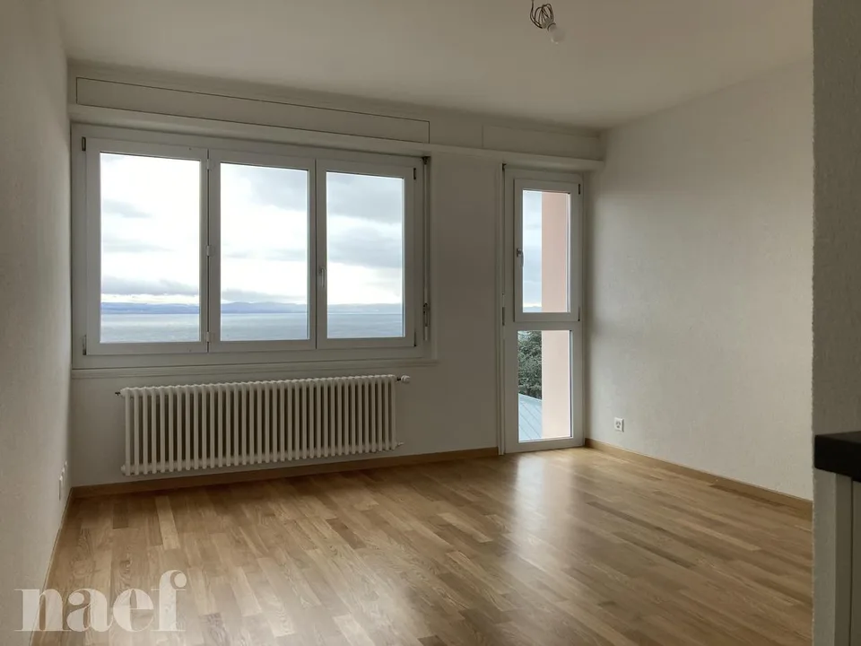 Studio entièrement rénové situé dans le haut de la Ville.