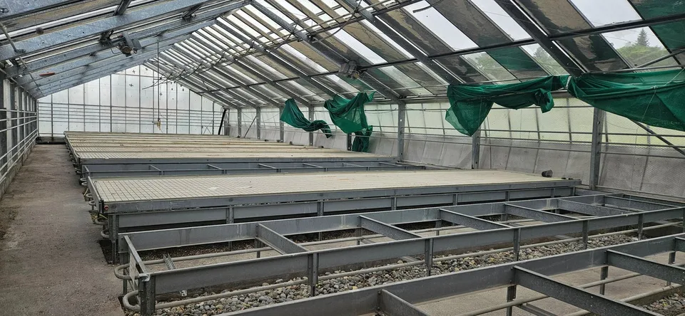 Fläche in Gewächshaus in Gossau ZH