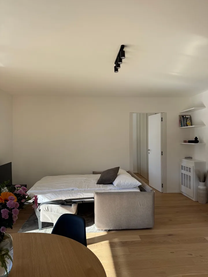 Accogliente appartamento 2.5 locali a Viganello con balcone – foto 14 di 29