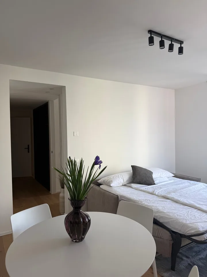 Accogliente appartamento 2.5 locali a Viganello con balcone – foto 17 di 29