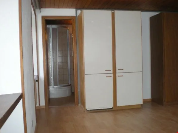 Appartement 1 pce lumineux - Proche des transports publics