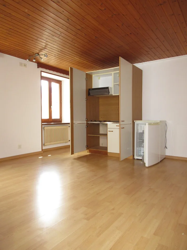 Appartement 1 pce lumineux - Proche des transports publics