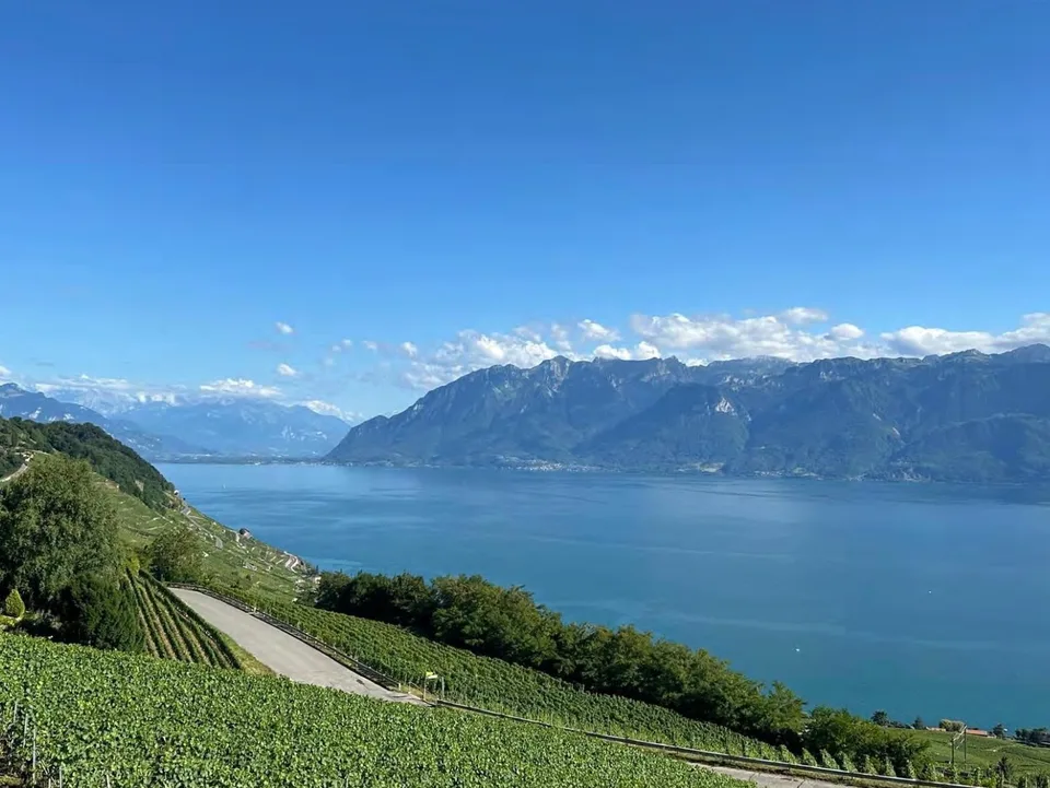 Prächtige neue 6,5-Zimmer-Villa mit Pool und Seeblick in Chexbres